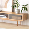 Modern TV Stand Cabinet with Storage